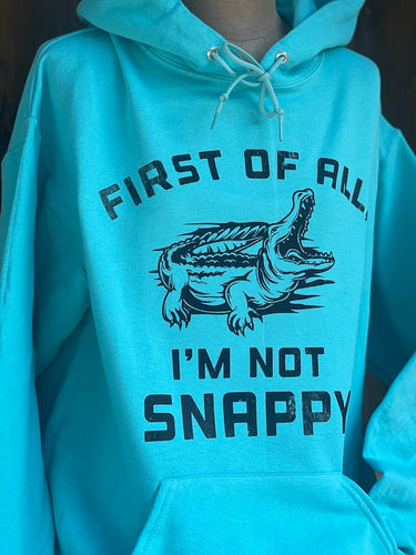 I'm not SNAPPY Hoodie- Turquoise